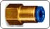 SQF(Female)