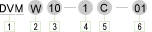 DVM_2